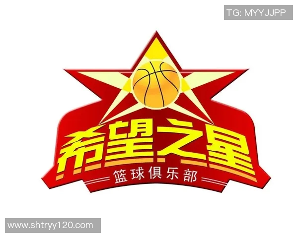 沈阳篮球之星的崛起与荣耀之路探秘